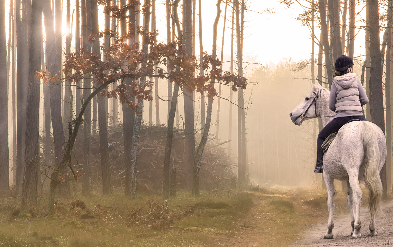 Horseback Riding Peloponnese