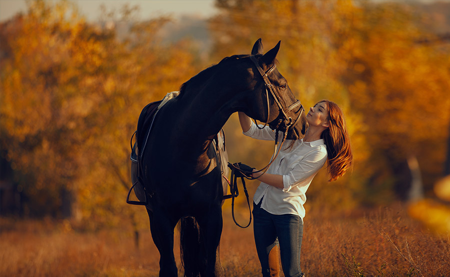 Horseback Riding Peloponnese