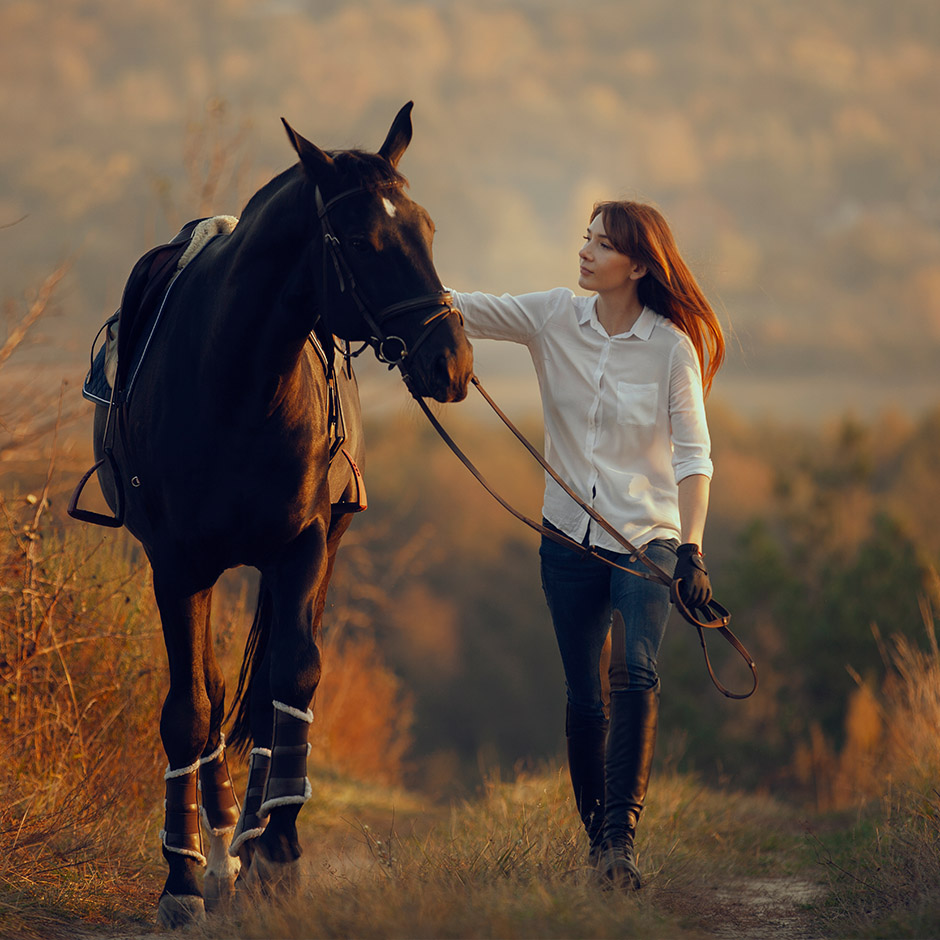 Horseback Riding